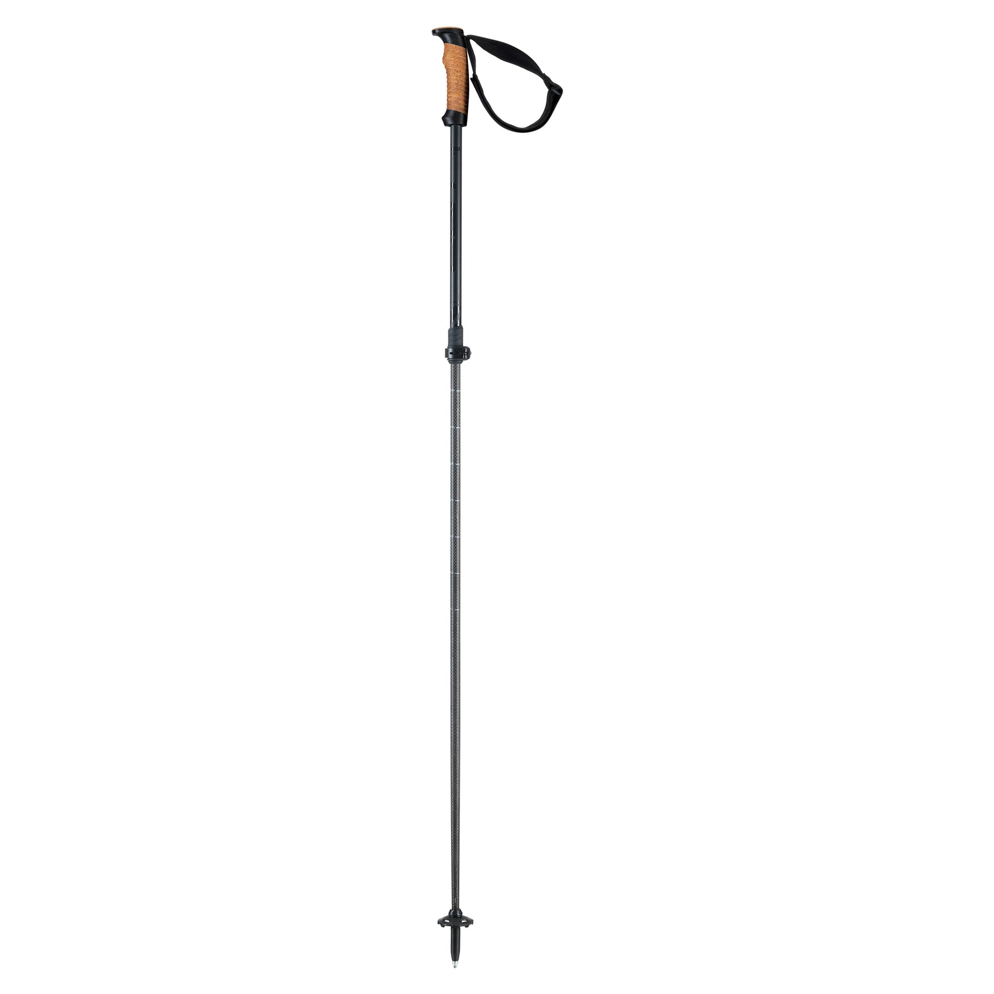 Voyager Pole Vario