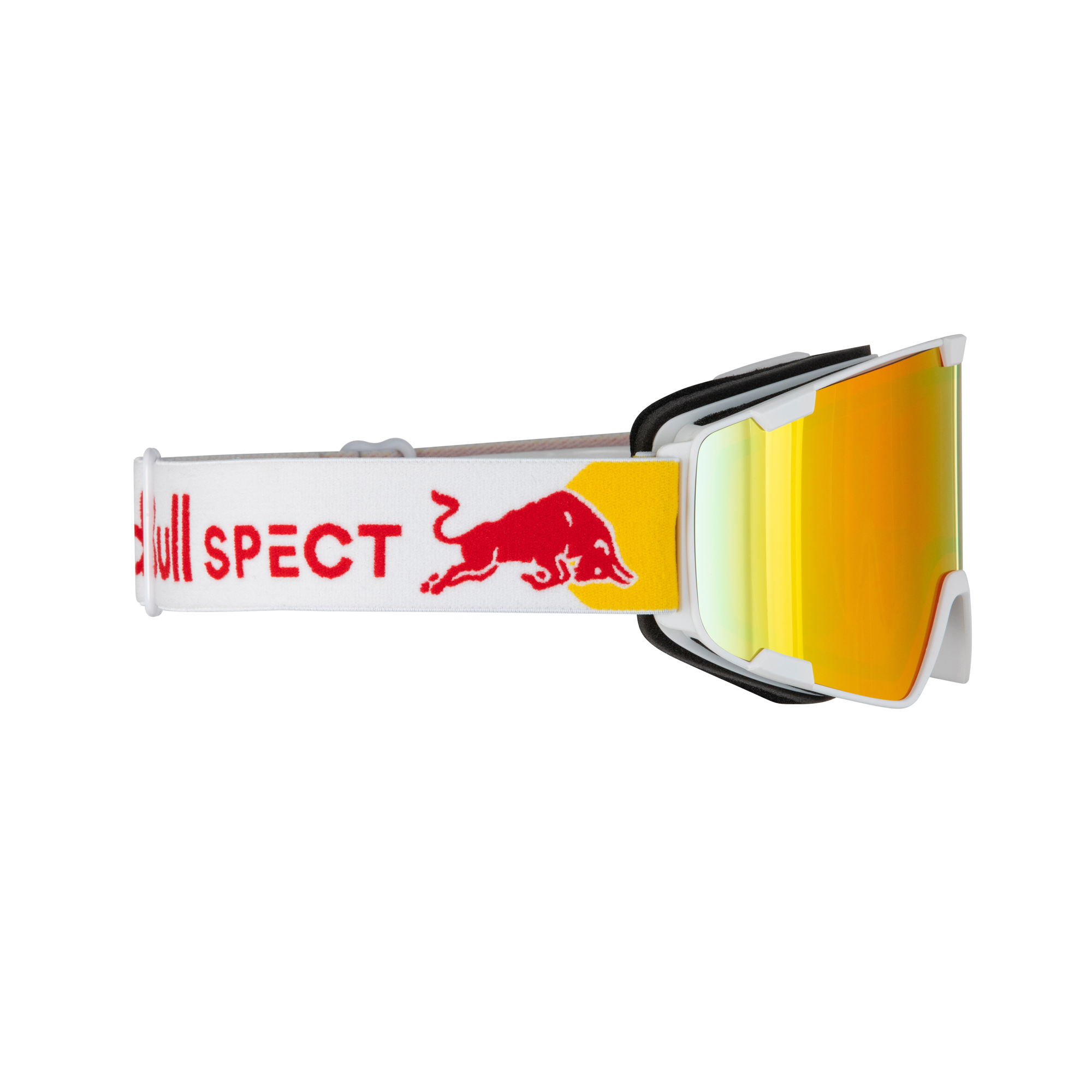 Goggle PARK-21RE2